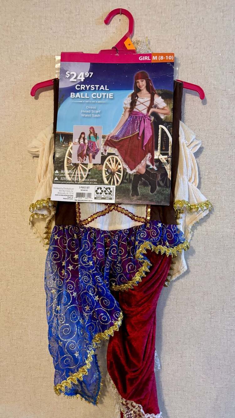 Halloween Gypsy Costume